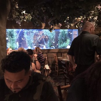 Rainforest Cafe - More of the 3rd floor - American Near Me - San Antonio, Texas Rainforest Cafe - More of the 3rd floor - American Near Me - San Antonio, Texas