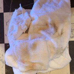 Towel after cleaning floor under and around the toilet with just water.