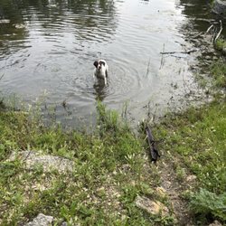 Little Mountain Park - Walter having a blast.