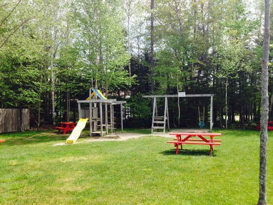 The Clam Digger by null