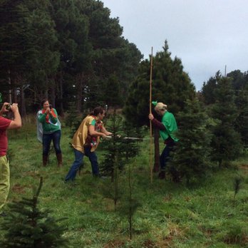 Misty Mountain Christmas Tree Farm - "Are you on your way to a party?" "No, this IS the Party!" - Christmas Trees Near Me - Loleta, California Misty Mountain Christmas Tree Farm - "Are you on your way to a party?" "No, this IS the Party!" - Christmas Trees Near Me - Loleta, California