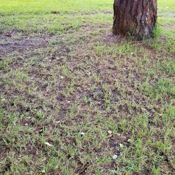 Prolawn Turf & Landscape Management - BY HOUSE - Pest Control Near Me - Cocoa, Florida