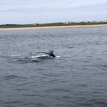 Captain John Boats - Fishing Near Me - Plymouth, Massachusetts