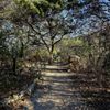 Bull Creek District Park gift card