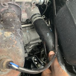Torn upper hose. Torn upper hose.