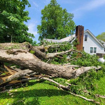 Stumps R Us Tree Service - Tree Services Near Me - Goodspring, Tennessee Stumps R Us Tree Service - Tree Services Near Me - Goodspring, Tennessee