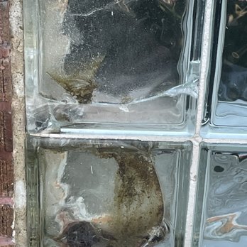 Hardy Glass Block Panels - Window needing to be replaced. - Windows Installation Near Me - Chicago, Illinois Hardy Glass Block Panels - Window needing to be replaced. - Windows Installation Near Me - Chicago, Illinois