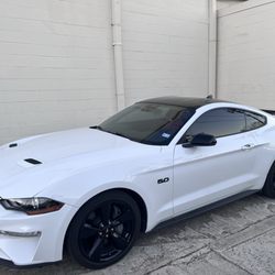 CS Paintless Dent Repair - Did excellent work repairing hail damage on my Mustang.