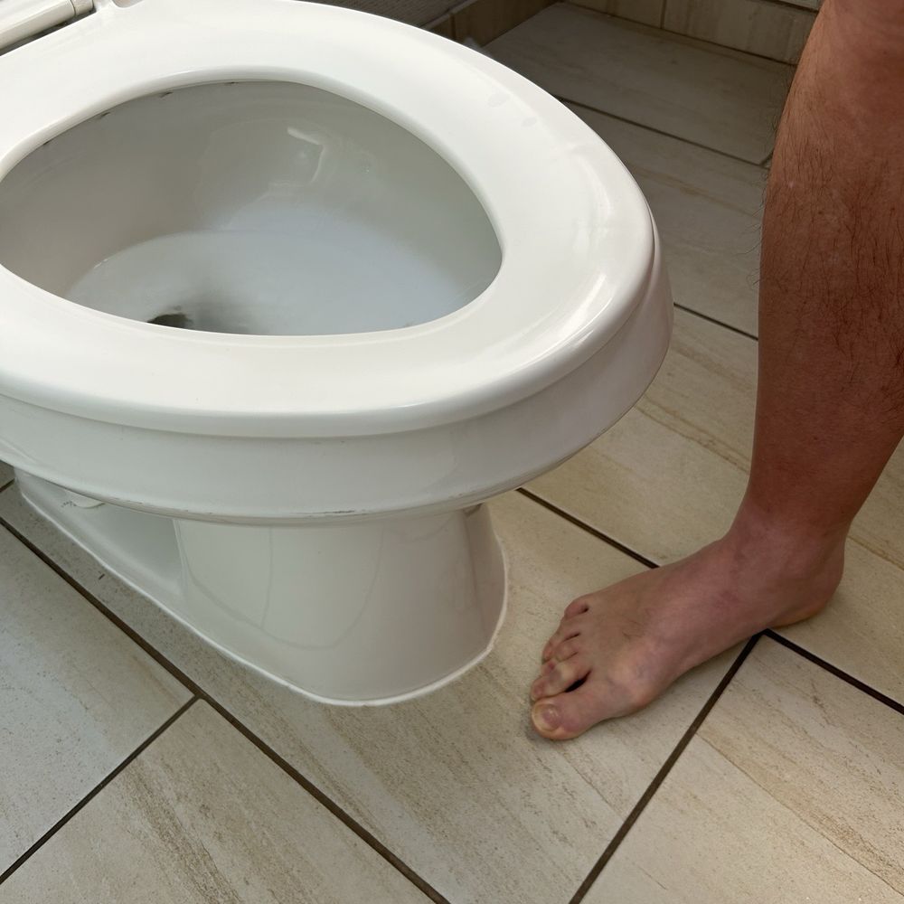 Holiday Inn Express Durham - Toilet height (about 12"). - Hotels Near Me - Durham, North Carolina Holiday Inn Express Durham - Toilet height (about 12"). - Hotels Near Me - Durham, North Carolina
