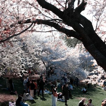 Central Park - Parks Near Me - New York, New York Central Park - Parks Near Me - New York, New York