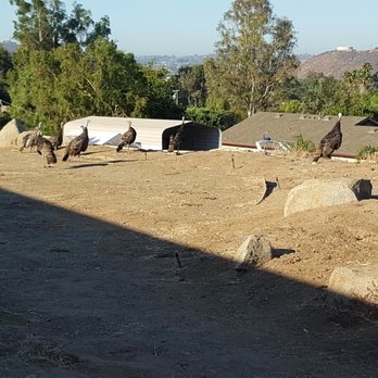 Install It Direct - Landscaping Near Me - Encinitas, California Install It Direct - Landscaping Near Me - Encinitas, California