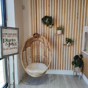Plants and Juice Bar - I want this chair - Juice Bars & Smoothies Near Me - Rohnert Park, California Plants and Juice Bar - I want this chair - Juice Bars & Smoothies Near Me - Rohnert Park, California