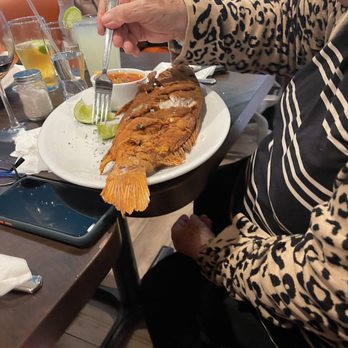 The Spotted Gallo - Fried snapper. - Nicaraguan Near Me - Miami, Florida The Spotted Gallo - Fried snapper. - Nicaraguan Near Me - Miami, Florida