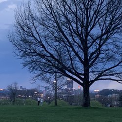 Schenley Oval - Nice view of the city