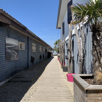 Le Platane - Seafood Near Me - Lanton, 33