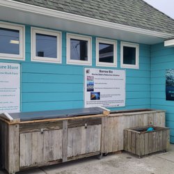 Navarre Beach Sea Turtle Conservation Center - 08-23-2022