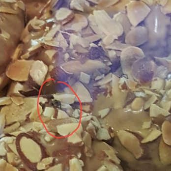 Dough - Up close pic of fly on donut - Desserts Near Me - New York, New York
