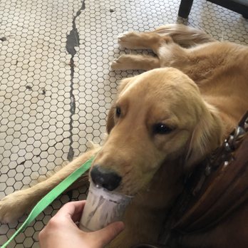 Rio Dulce - Pup-cup, dog, couch, inside - Coffee & Tea Near Me - Fort Worth, Texas Rio Dulce - Pup-cup, dog, couch, inside - Coffee & Tea Near Me - Fort Worth, Texas