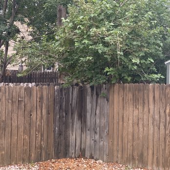 Mr Stump Tree Service - After removal - Tree Services Near Me - Colorado Springs, Colorado
