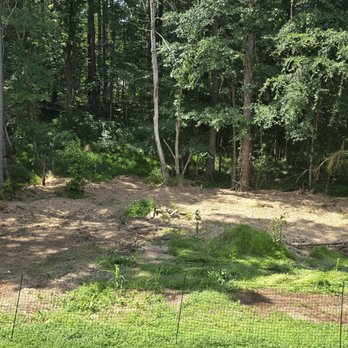 E&C Tree Service - Middle part of cleared land - Tree Services Near Me E&C Tree Service - Middle part of cleared land - Tree Services Near Me