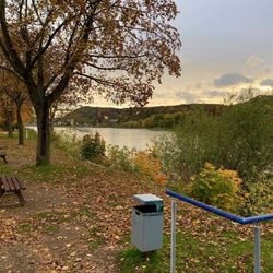 Insel Grafenwerth - Insel Grafenwerth - Bad Honnef