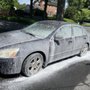 Radich Parker Detailing