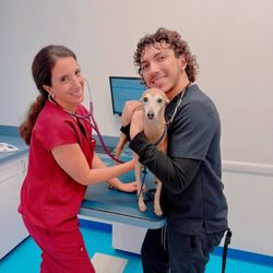 Amor Animal Hospital