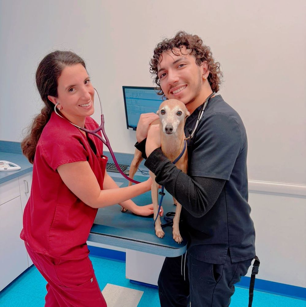 Amor Animal Hospital Image