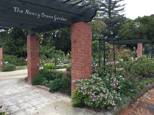 Dove Myer Robinson Park (Parnell Rose Garden) by null