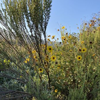 Ventura River Preserve - Hiking Near Me - Ojai, California