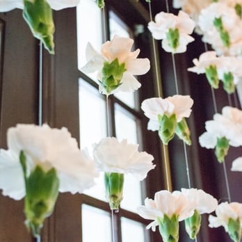 Photosynthesis Floral Design - Hanging carnations - Wedding Planning Near Me