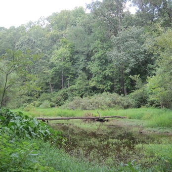 Dora Kelley Nature Park - Parks Near Me - Alexandria, Virginia