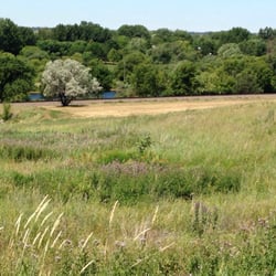 Mellette Hill