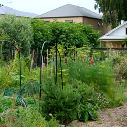 Fern Avenue Community Garden
