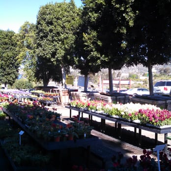 Moon Valley Nurseries - Landscaping Near Me - Escondido, California Moon Valley Nurseries - Landscaping Near Me - Escondido, California