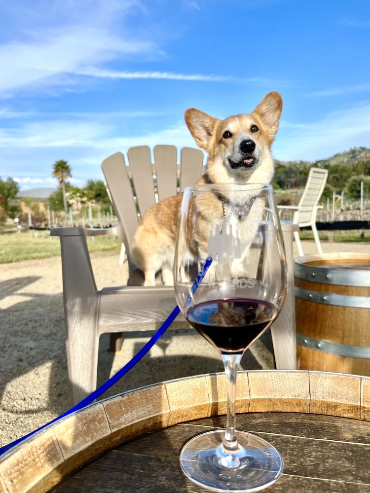 Bastian's Vineyards Logo