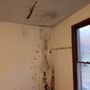 Photo of KICK Restoration & Disaster Cleanup