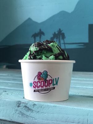 Scoop LV by null