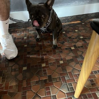 The Switchboard - Our fur baby - Hawaiian Near Me - Oceanside, California