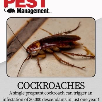 Midway Pest Management - Pest Control Near Me - Olathe, Kansas Midway Pest Management - Pest Control Near Me - Olathe, Kansas