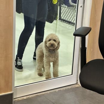 PetSuites Indianapolis Northwest - Pet Groomers Near Me - Indianapolis, Indiana
