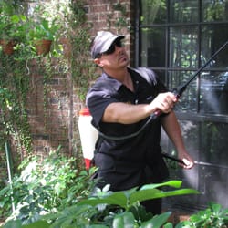 Phoenix Pest Management Wildlife - Scott applying a thorough application of outdoor pesticide.