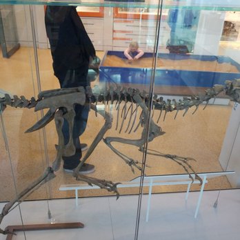 Witte Museum - Museums Near Me - San Antonio, Texas