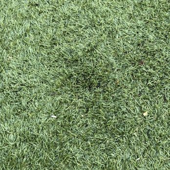 Purchase Green Artificial Grass - Artificial Turf Near Me - Covina, California Purchase Green Artificial Grass - Artificial Turf Near Me - Covina, California