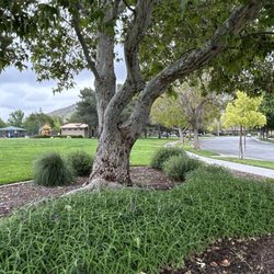 Sycamore Hills Park