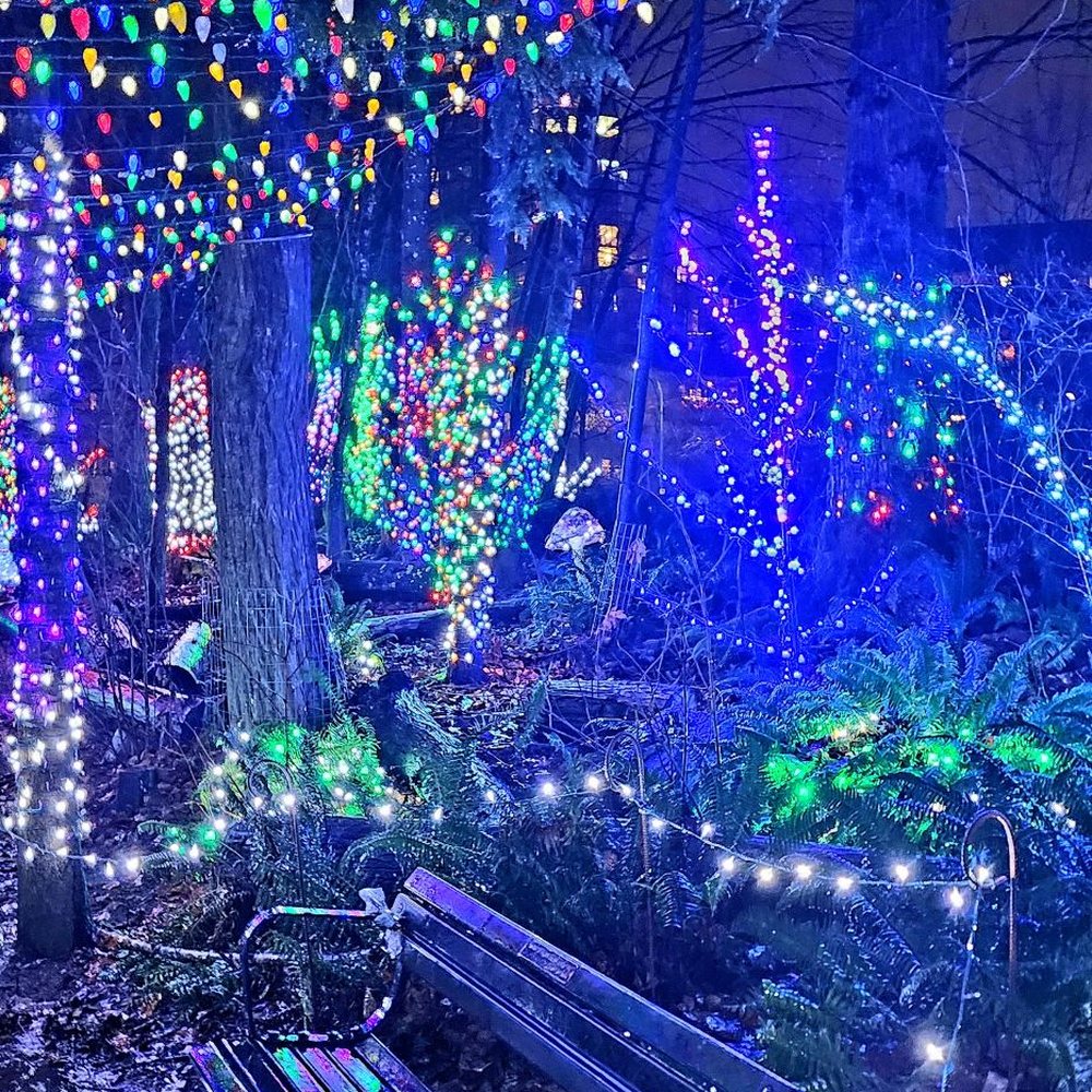 Lights at Lafarge - Dec 2023 - Local Flavor Near Me - Coquitlam, British Columbia Lights at Lafarge - Dec 2023 - Local Flavor Near Me - Coquitlam, British Columbia