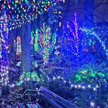 Lights at Lafarge - Dec 2023 - Local Flavor Near Me - Coquitlam, British Columbia Lights at Lafarge - Dec 2023 - Local Flavor Near Me - Coquitlam, British Columbia
