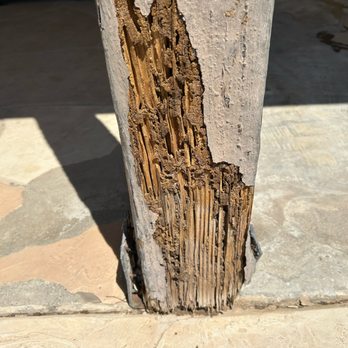 West Coast Pest Control - Subterranean termite damage - Pest Control Near Me West Coast Pest Control - Subterranean termite damage - Pest Control Near Me