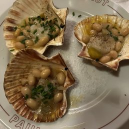 Scallops with butter, herbs and coco beans. Seemed like an odd combo but was divine!