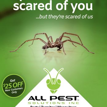 All Pest Solutions - Pest Control Near Me - Nashville, Tennessee All Pest Solutions - Pest Control Near Me - Nashville, Tennessee